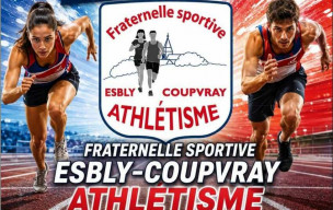 Les disciplines