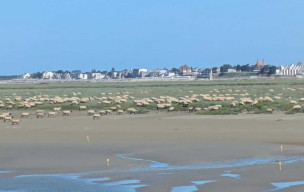 Transbaie  de Saint Valery au Crotoy